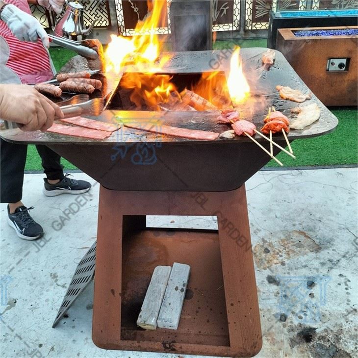Bbq Gas Stove