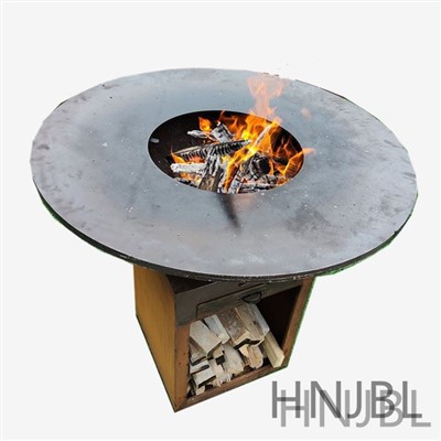 بیک یارڈ فیملی پارٹی Bbq