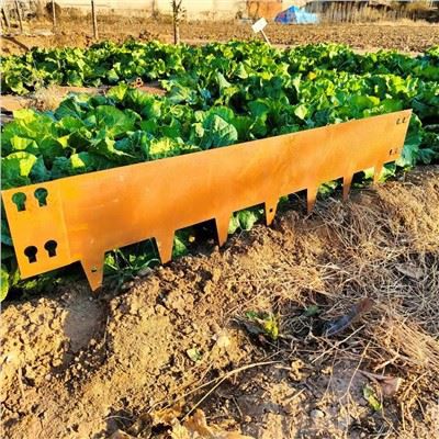 زنگ آلود کارٹین اسٹیل کنارہ