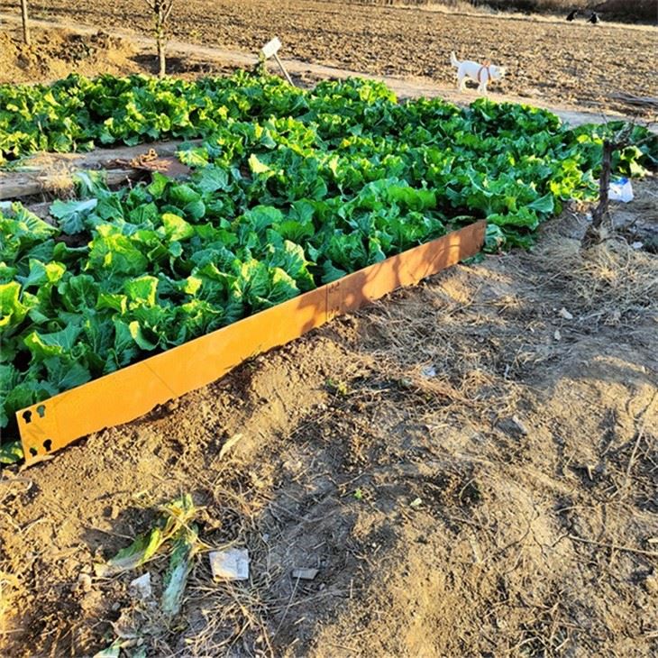 Grass Partition Board