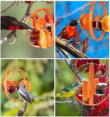 اوریول فیڈر