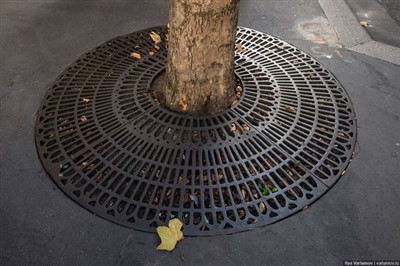 باہر فٹ پاتھ پروٹیکشن دھاتی درخت